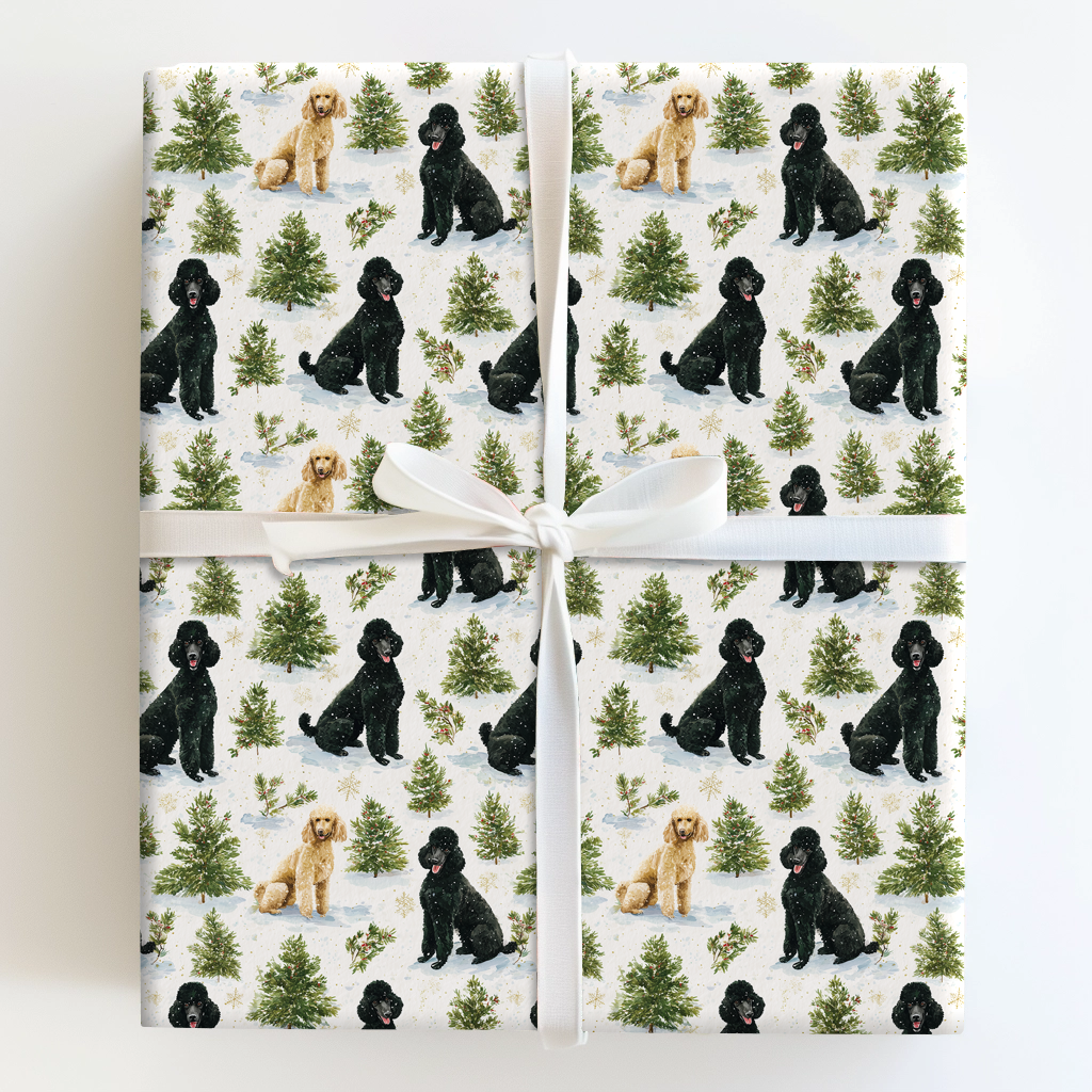 Standard Poodle Winter Woods