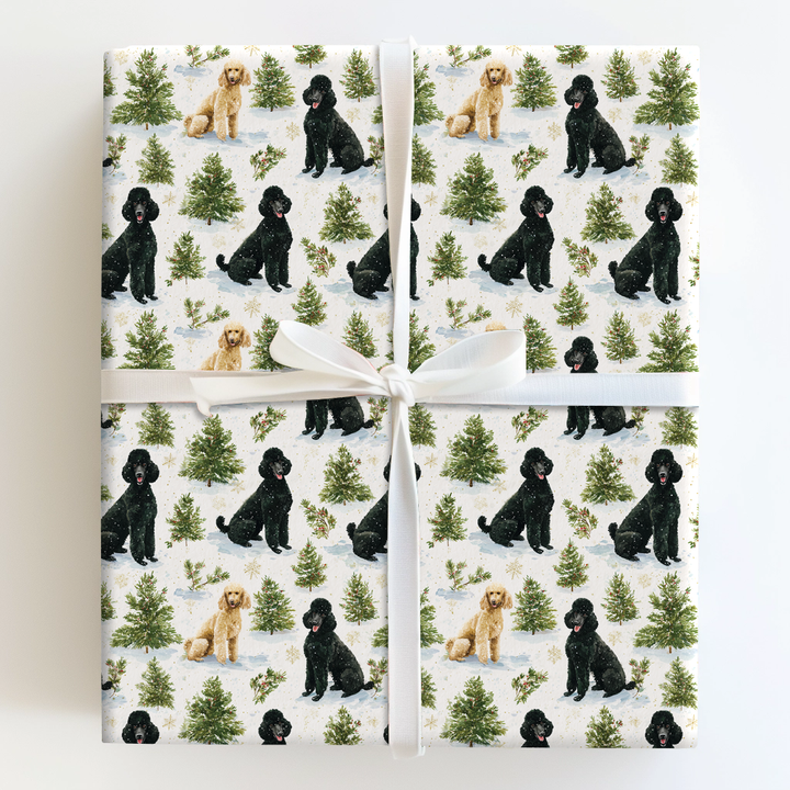 Standard Poodle Winter Woods