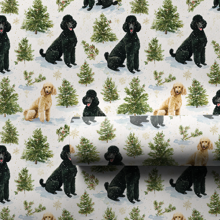 Standard Poodle Winter Woods