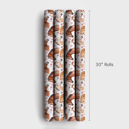 American Quarter Valentine - Wrapping Paper - Aspen & Arlo