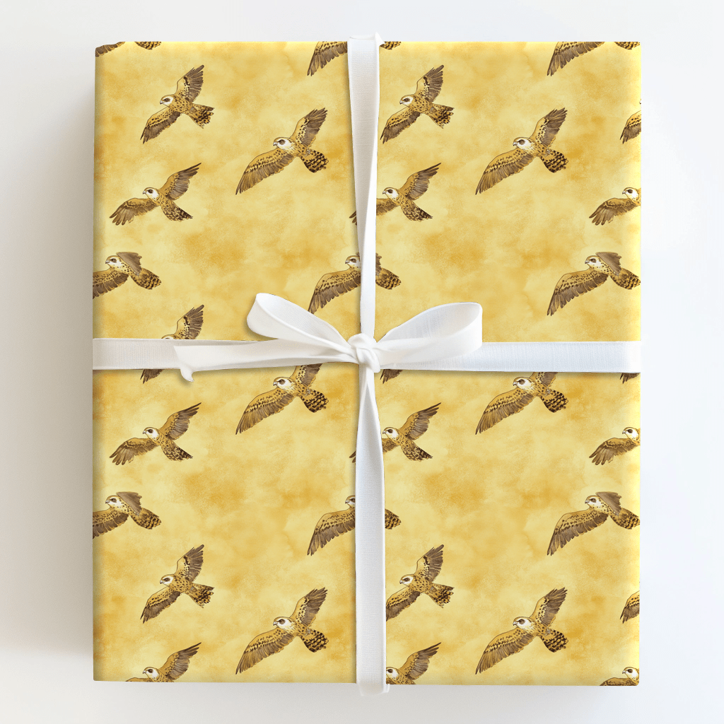 Gold and Soar - Wrapping Paper - Aspen & Arlo