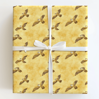 Gold and Soar - Wrapping Paper - Aspen & Arlo