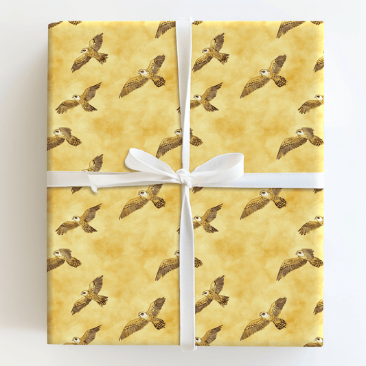 Gold and Soar - Wrapping Paper - Aspen & Arlo