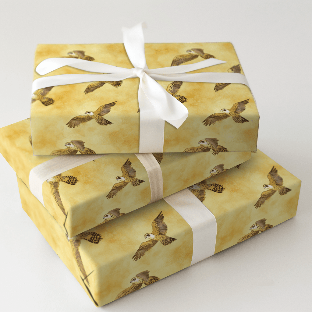 Gold and Soar - Wrapping Paper - Aspen & Arlo