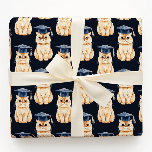Persian Graduate - Wrapping Paper - Aspen & Arlo