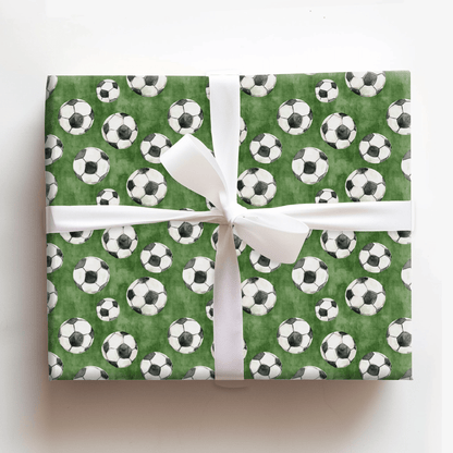 Winger Wonder - Wrapping Paper - Aspen & Arlo