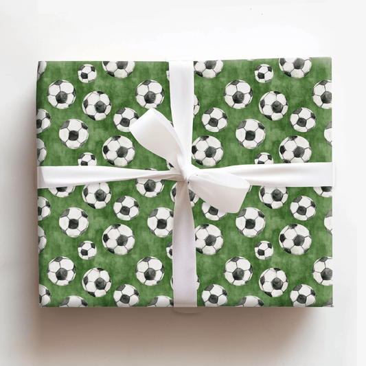 Winger Wonder - Wrapping Paper - Aspen & Arlo