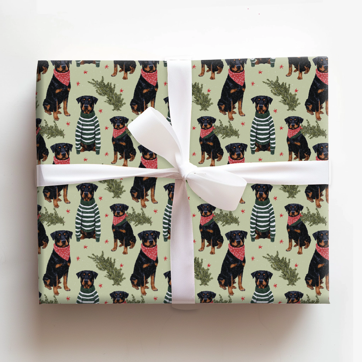 Best Dressed Beauceron