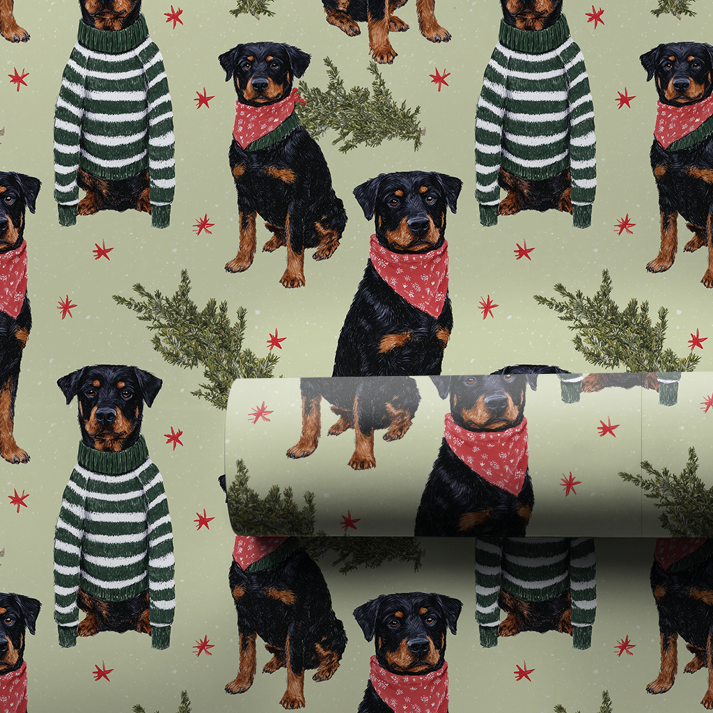 Best Dressed Beauceron