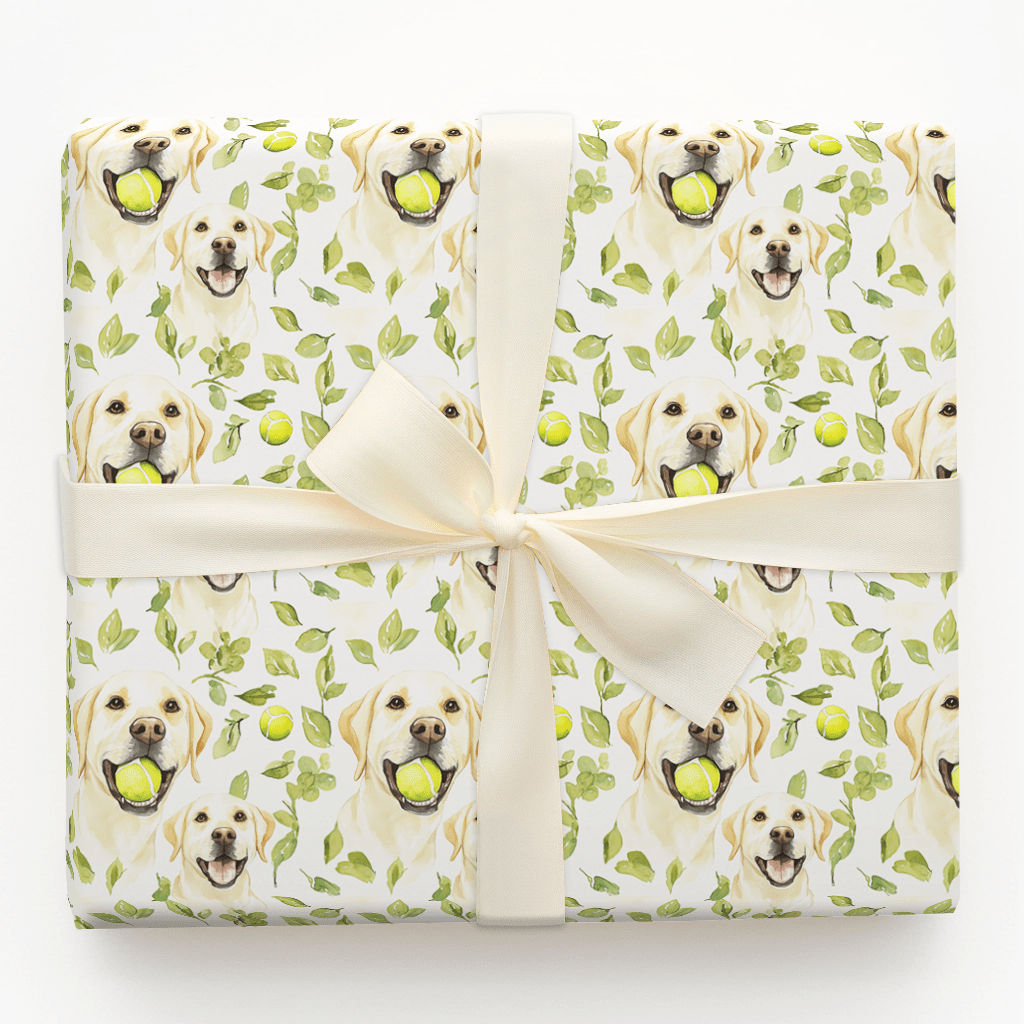 Fetch Boy - Wrapping Paper - Aspen & Arlo