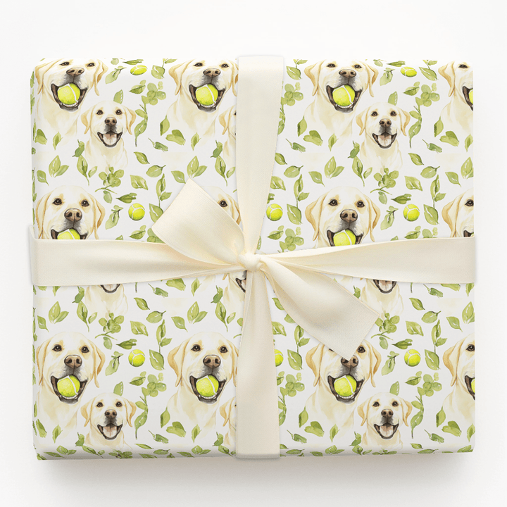 Fetch Boy - Wrapping Paper - Aspen & Arlo