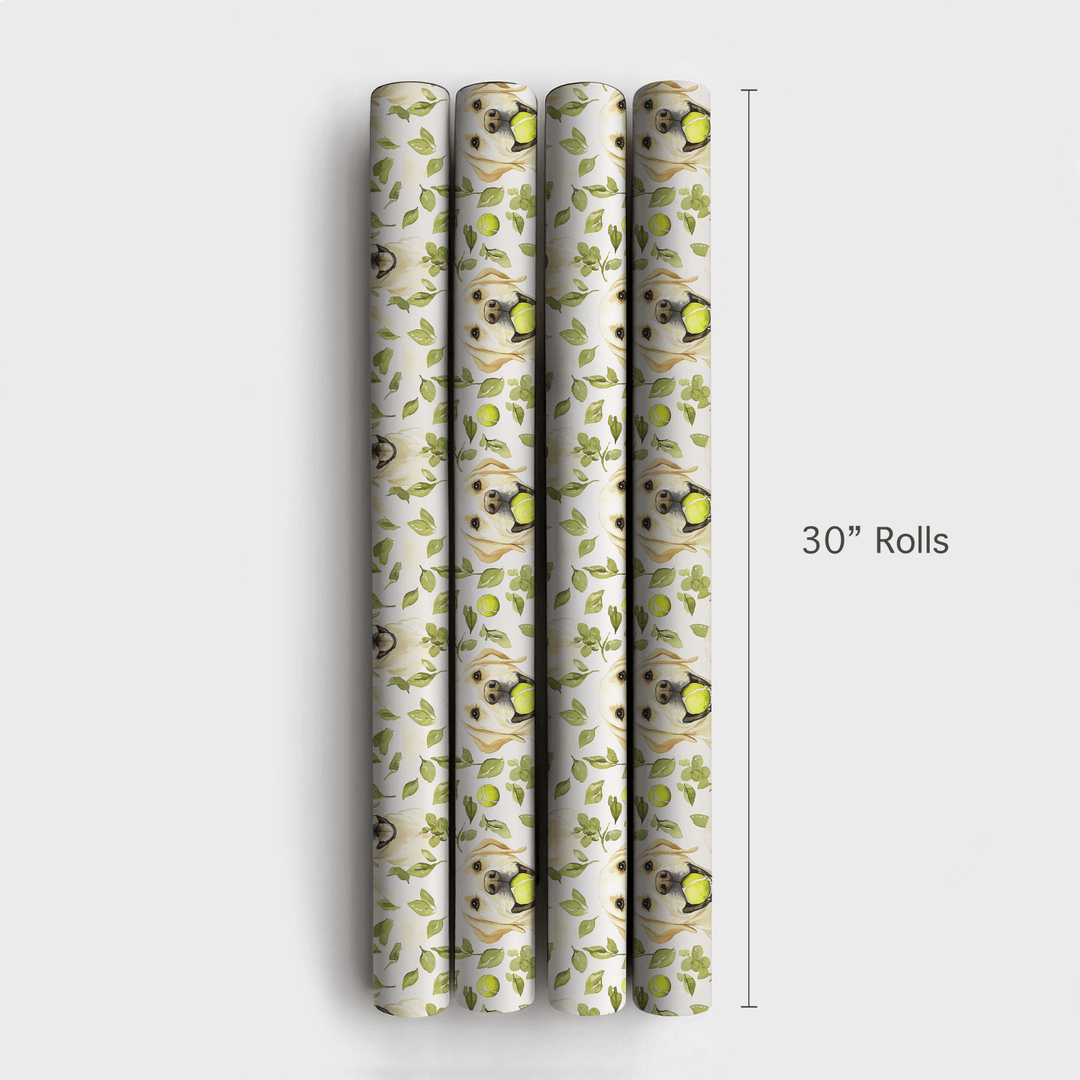 Fetch Boy - Wrapping Paper - Aspen & Arlo