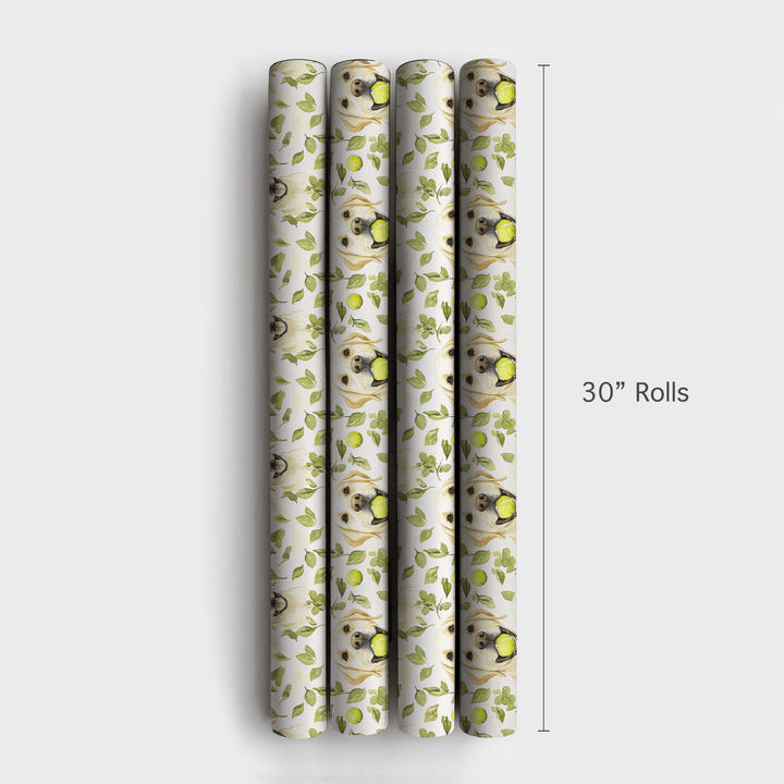 Fetch Boy - Wrapping Paper - Aspen & Arlo
