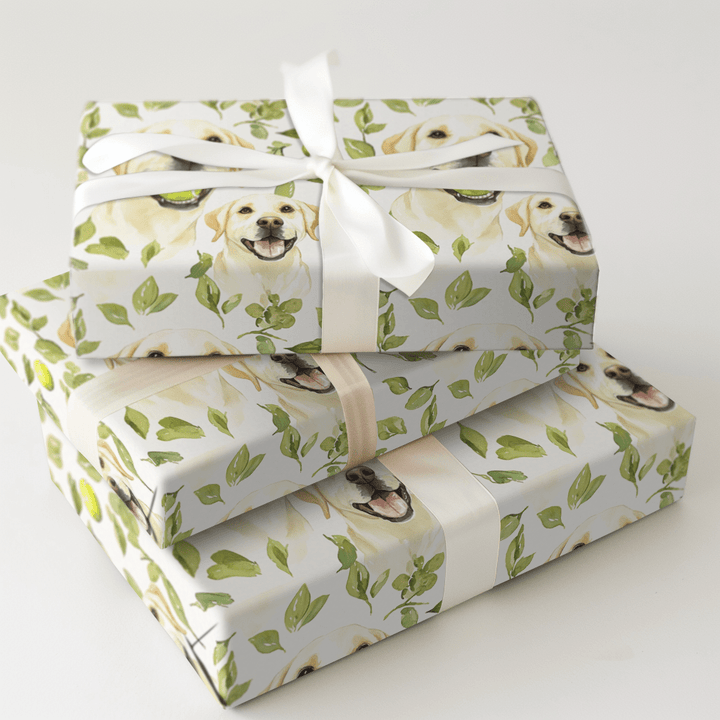 Fetch Boy - Wrapping Paper - Aspen & Arlo