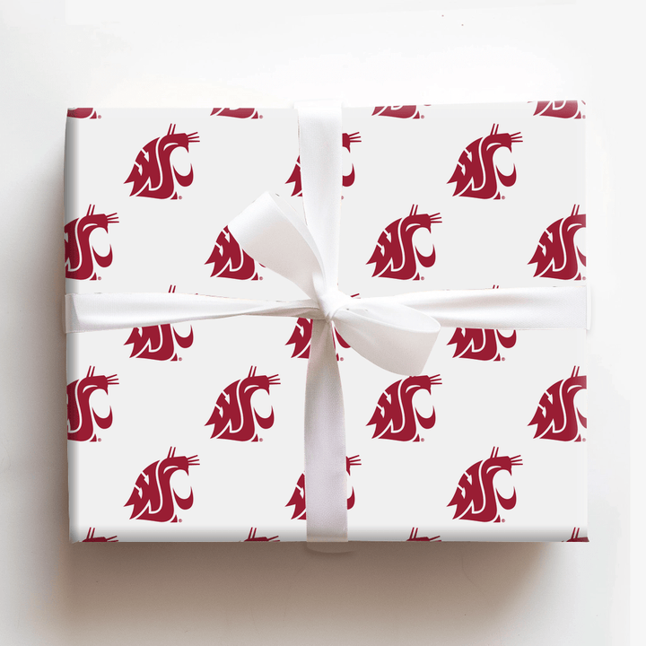Cougar Country - Wrapping Paper - Aspen & Arlo