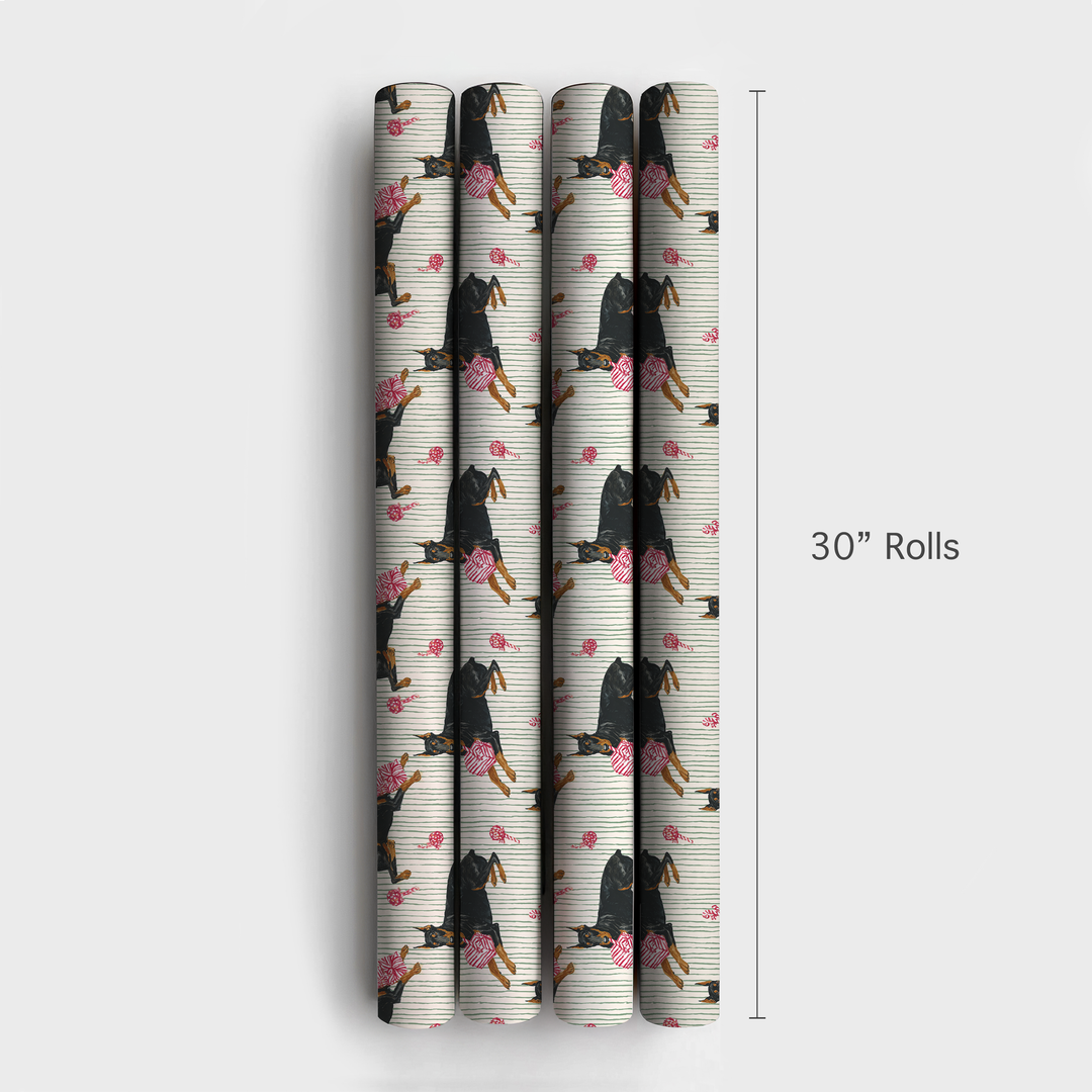 Peppermint Stripe Dobermans