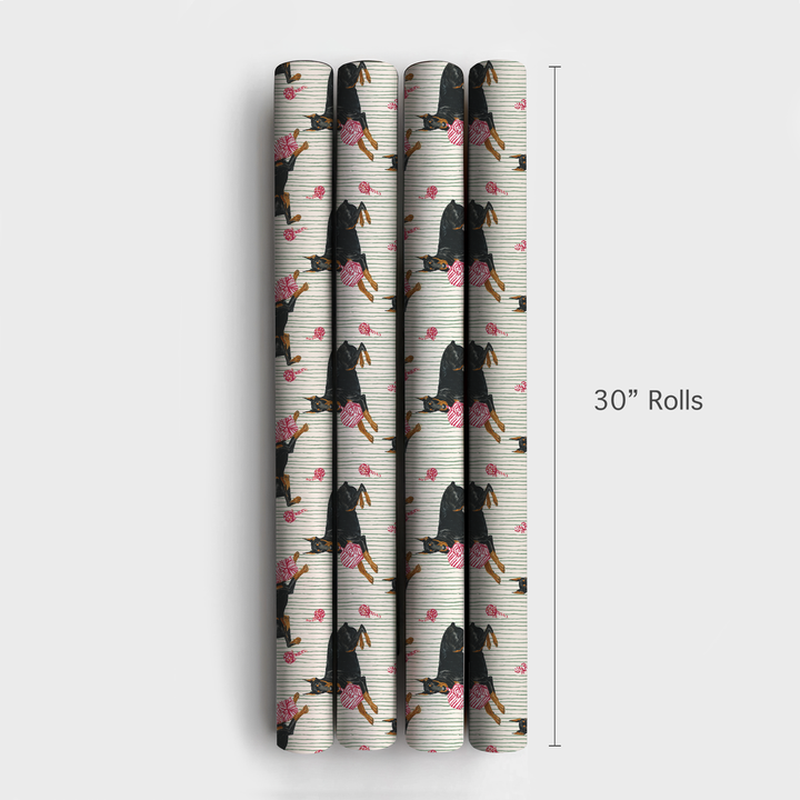 Peppermint Stripe Dobermans