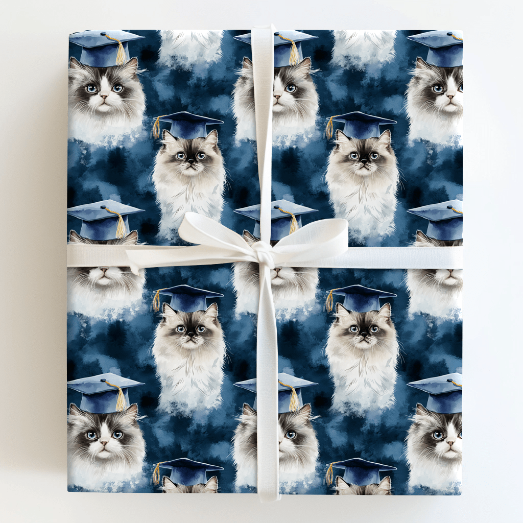 Persian Longhair Graduate - Wrapping Paper - Aspen & Arlo