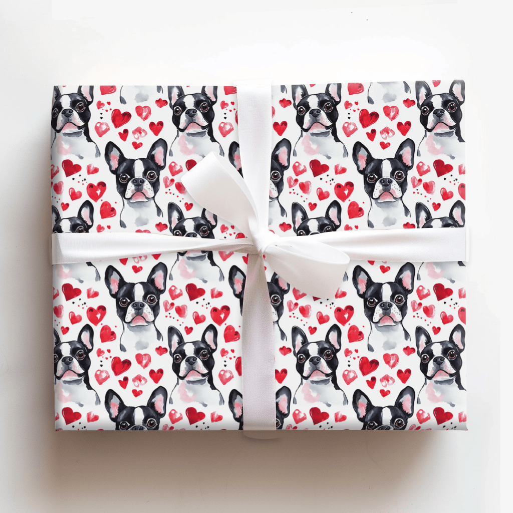 Boston Terrier Valentine - Wrapping Paper - Aspen & Arlo