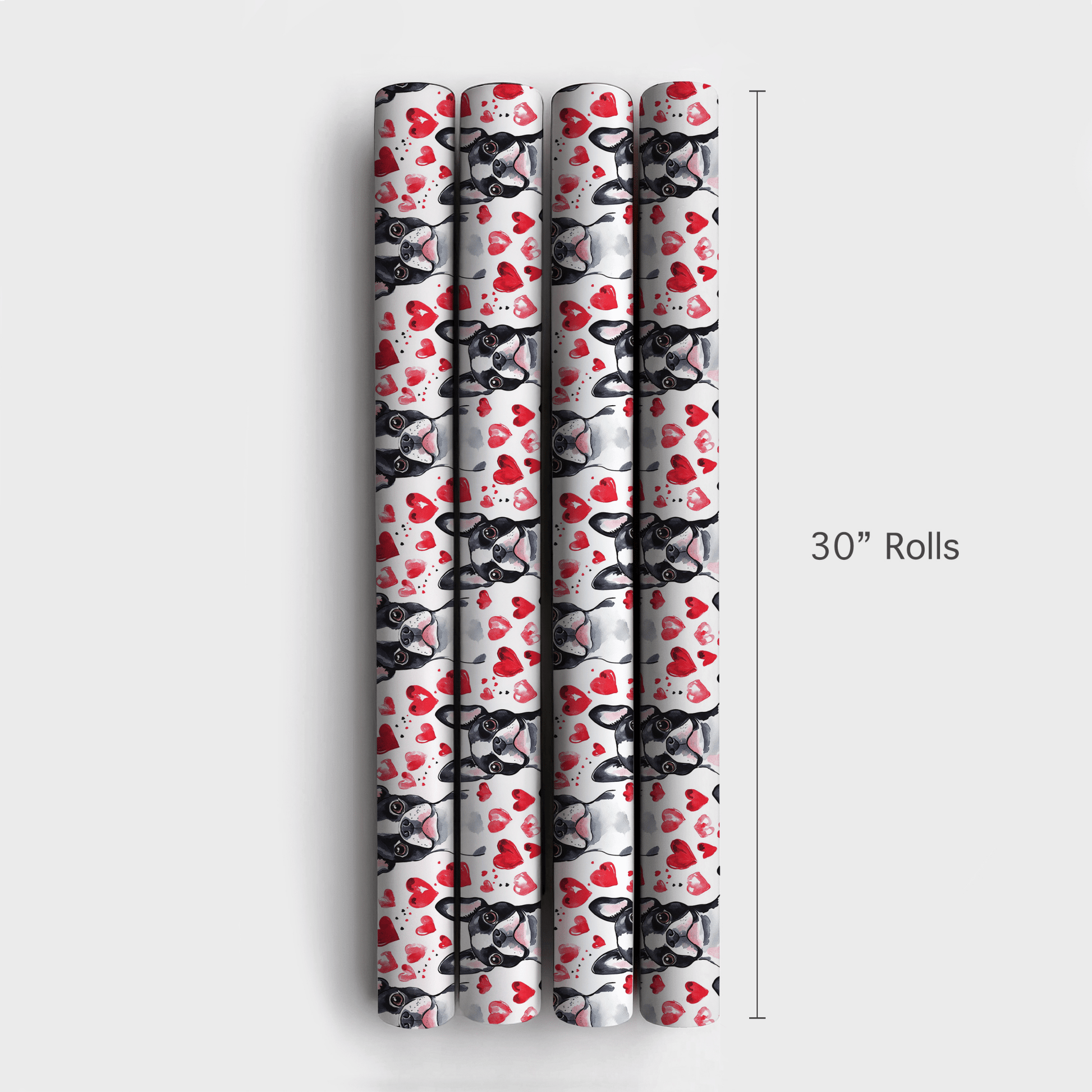 Boston Terrier Valentine - Wrapping Paper - Aspen & Arlo