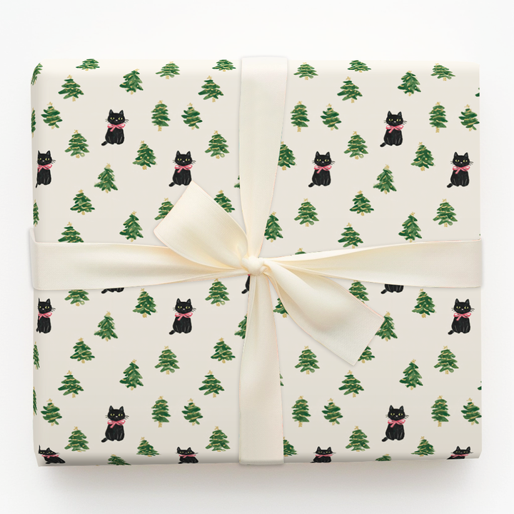 Evergreen Explorer