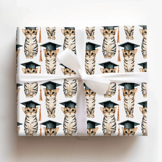Cattin Off to College - Wrapping Paper - Aspen & Arlo