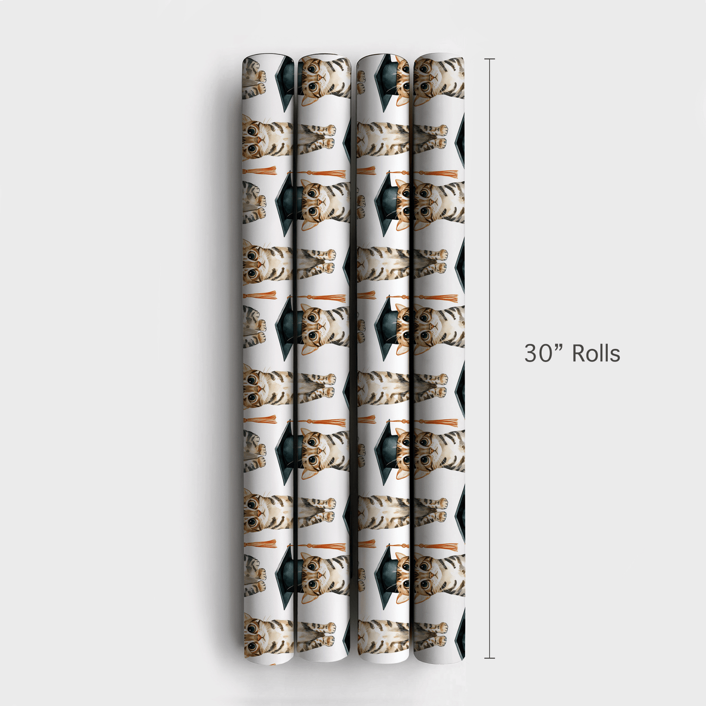 Cattin Off to College - Wrapping Paper - Aspen & Arlo