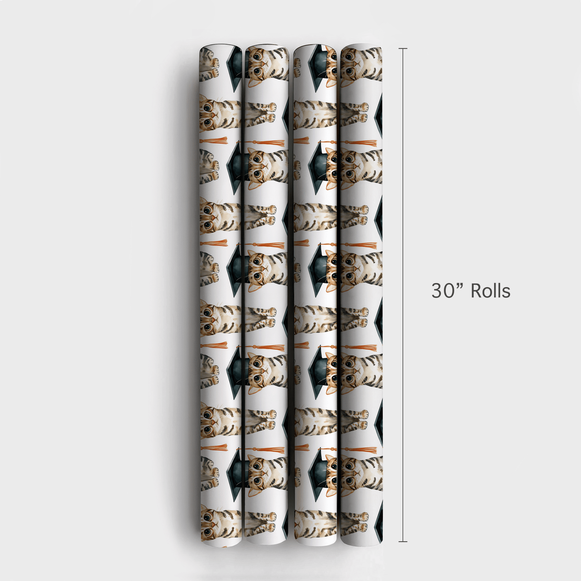 Cattin Off to College - Wrapping Paper - Aspen & Arlo