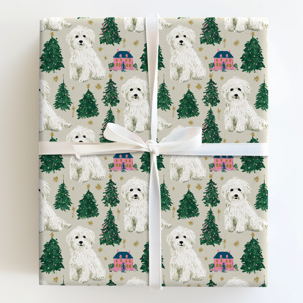 Coton at Christmastime