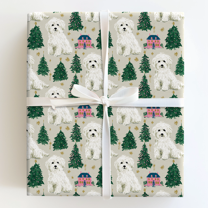 Coton at Christmastime