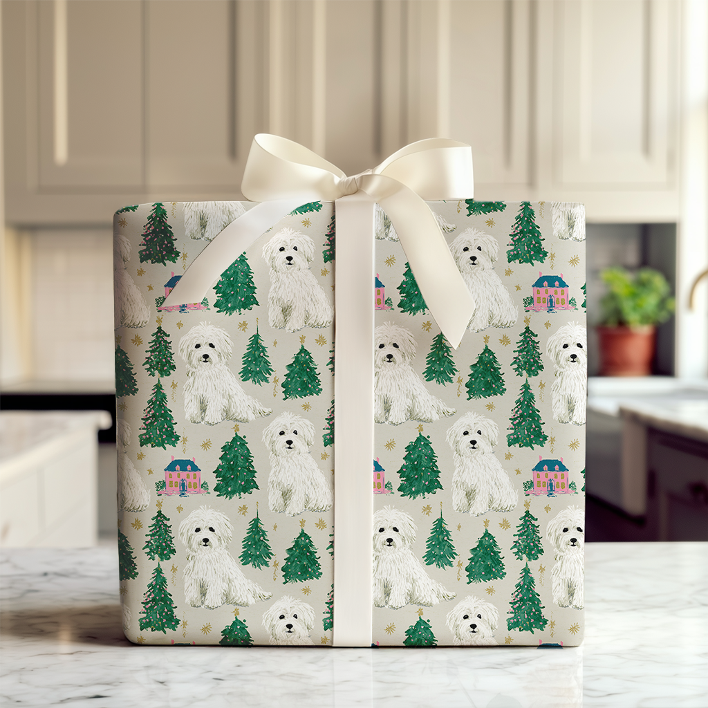 Coton at Christmastime