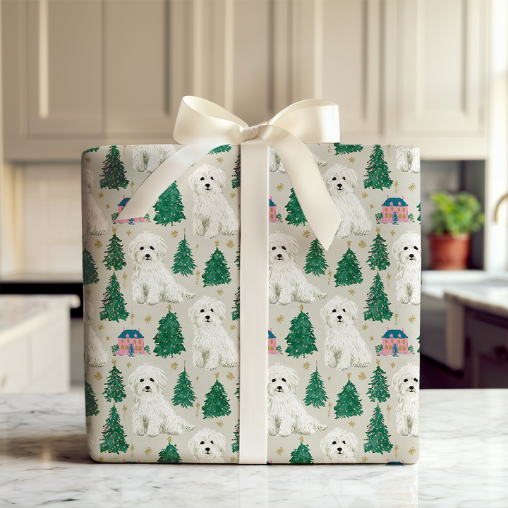 Coton at Christmastime