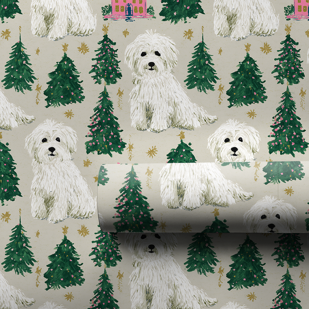 Coton at Christmastime