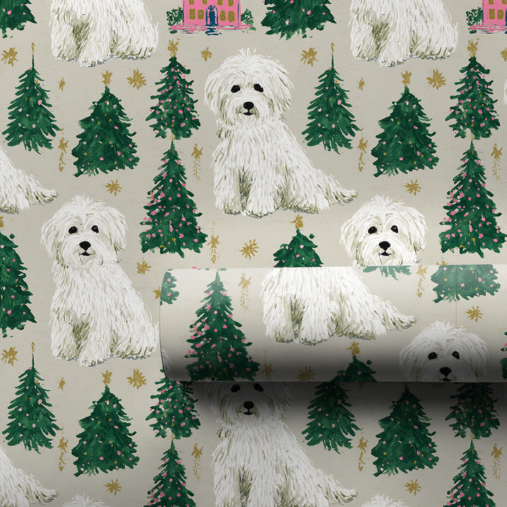 Coton at Christmastime