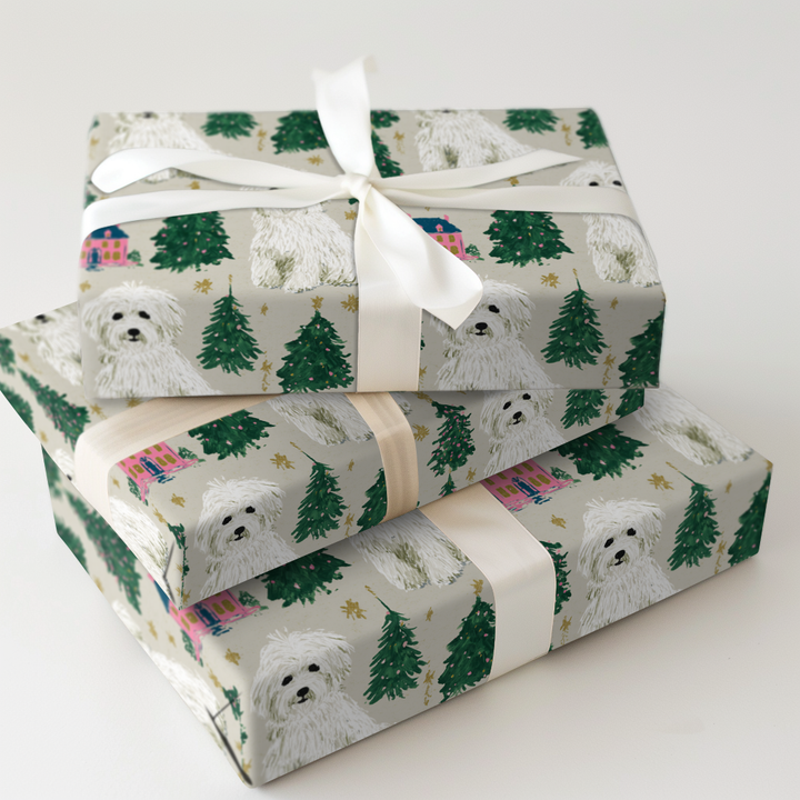 Coton at Christmastime
