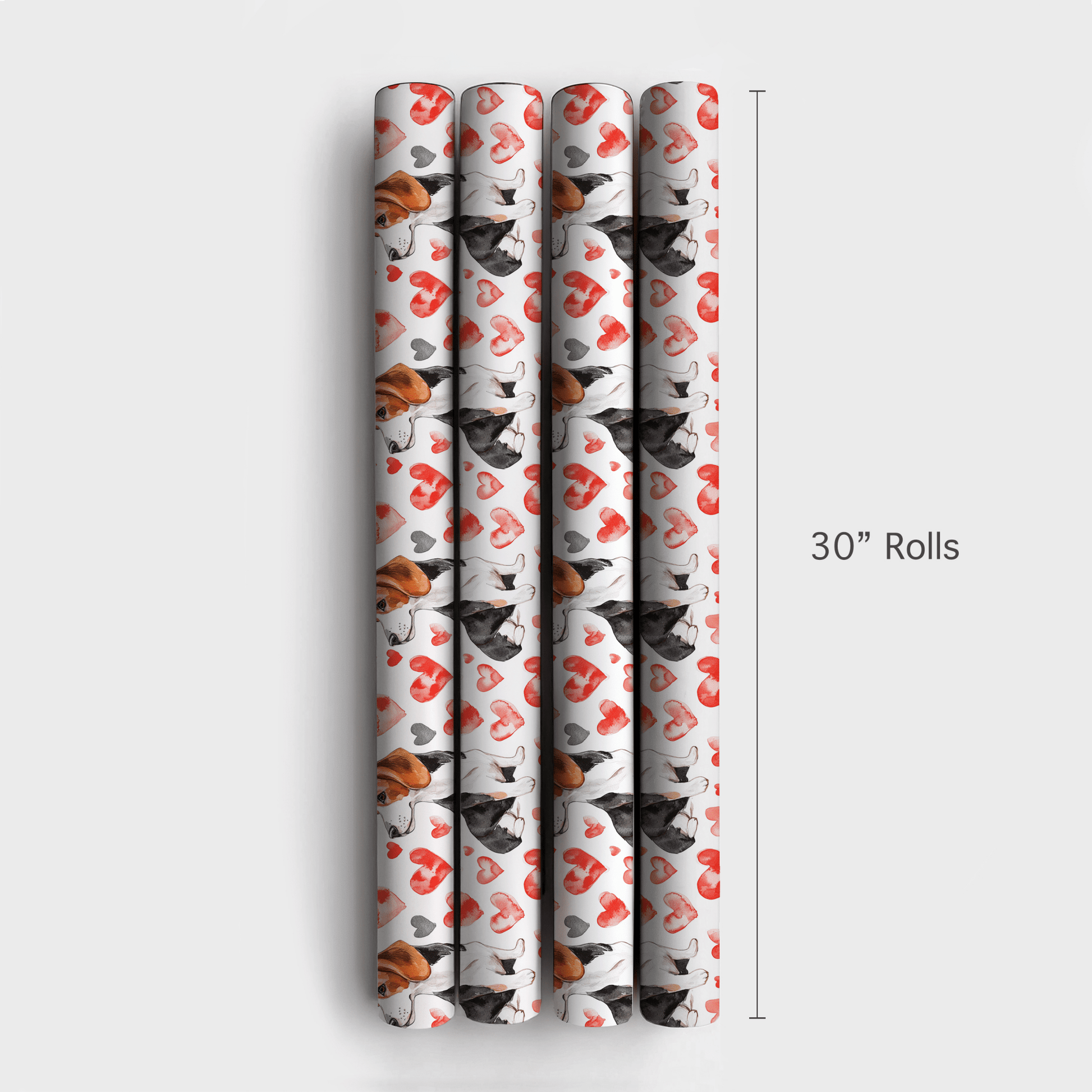 Beagle Valentine - Wrapping Paper - Aspen & Arlo