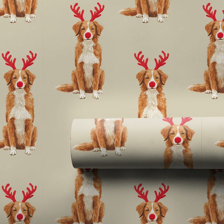 Rudolph the Toller