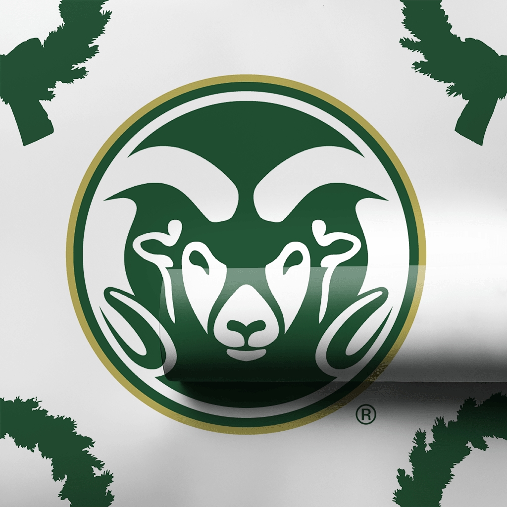 CSU Wreath - Wrapping Paper - Aspen & Arlo