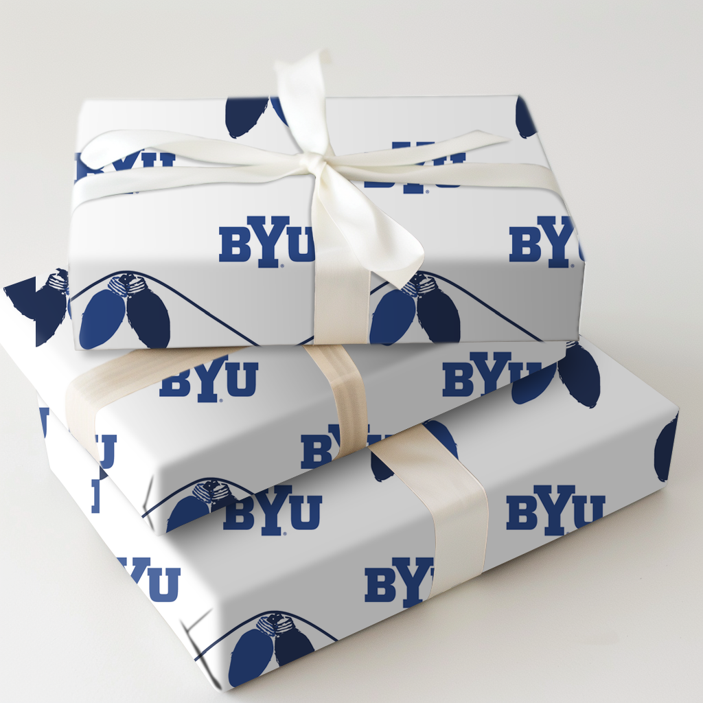 BYU Light Bulbs