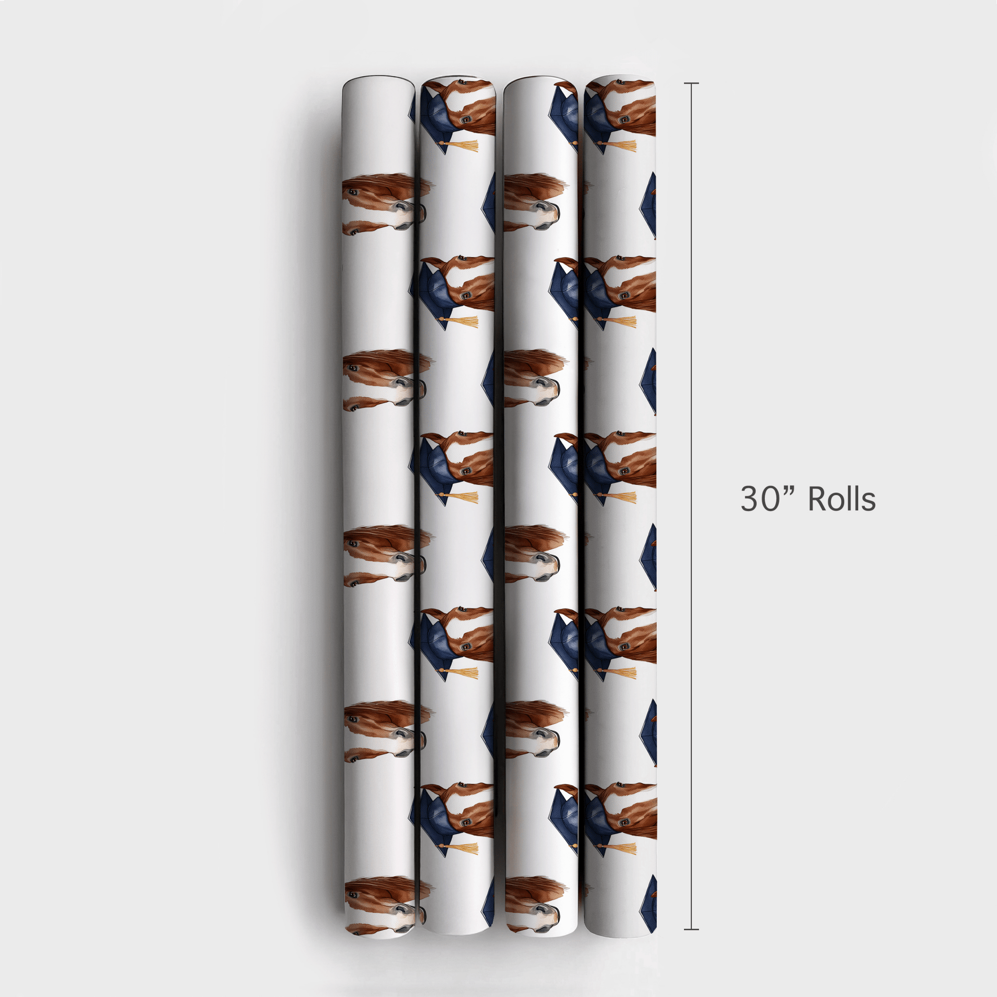 Clydesdale Graduate - Wrapping Paper - Aspen & Arlo