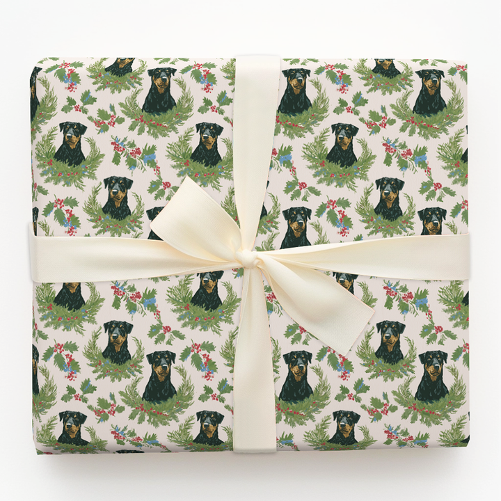 Beauceron Holly Days