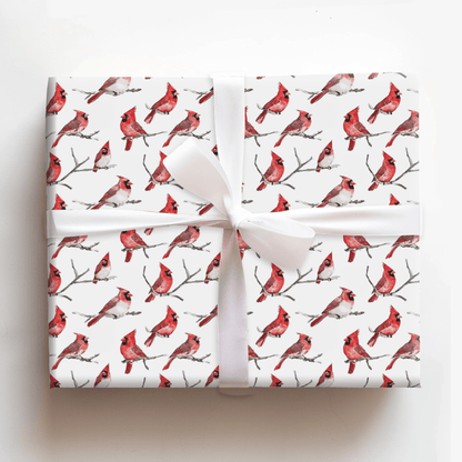 First Place Feathers - Wrapping Paper - Aspen & Arlo