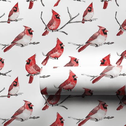 First Place Feathers - Wrapping Paper - Aspen & Arlo