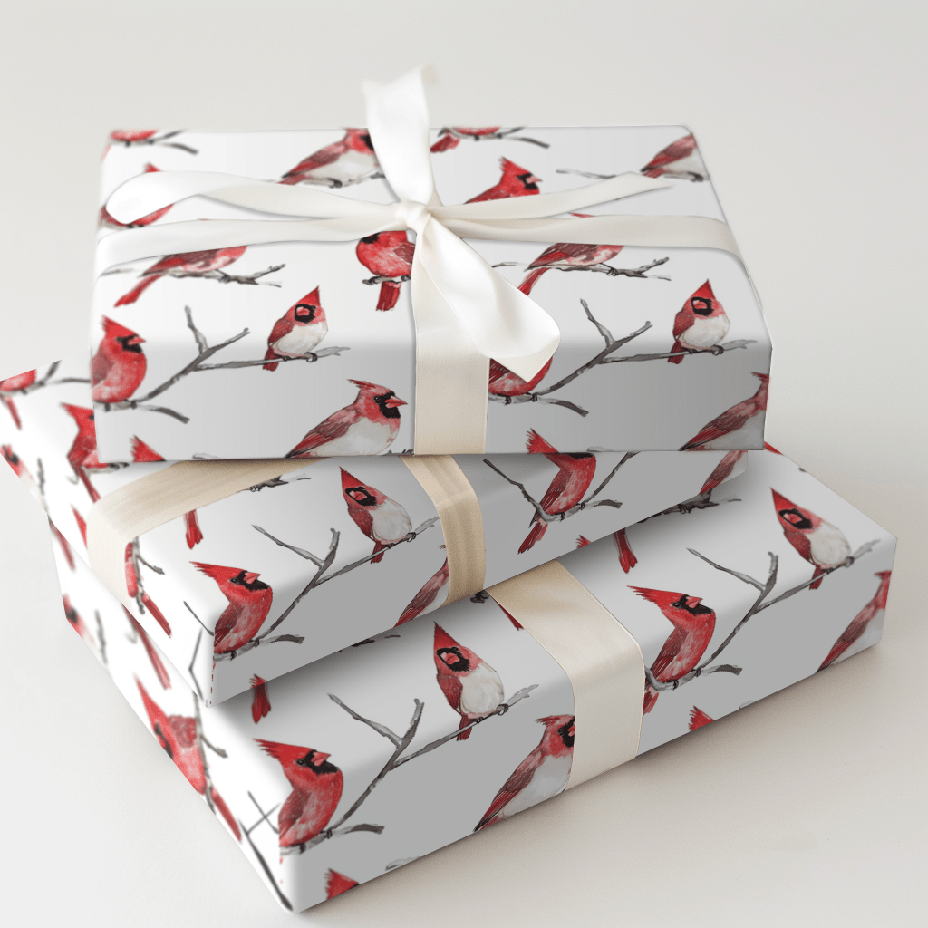 First Place Feathers - Wrapping Paper - Aspen & Arlo