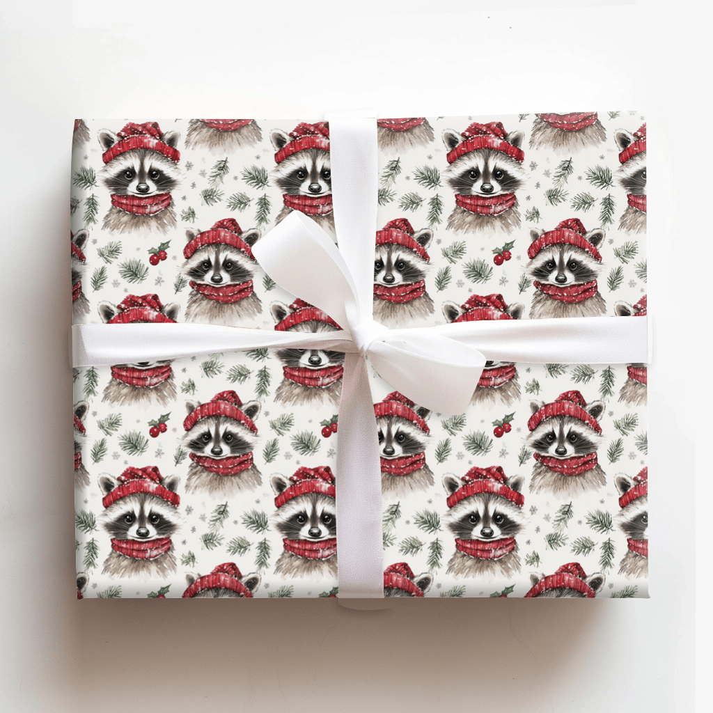 Snowy Racoon - Wrapping Paper - Aspen & Arlo