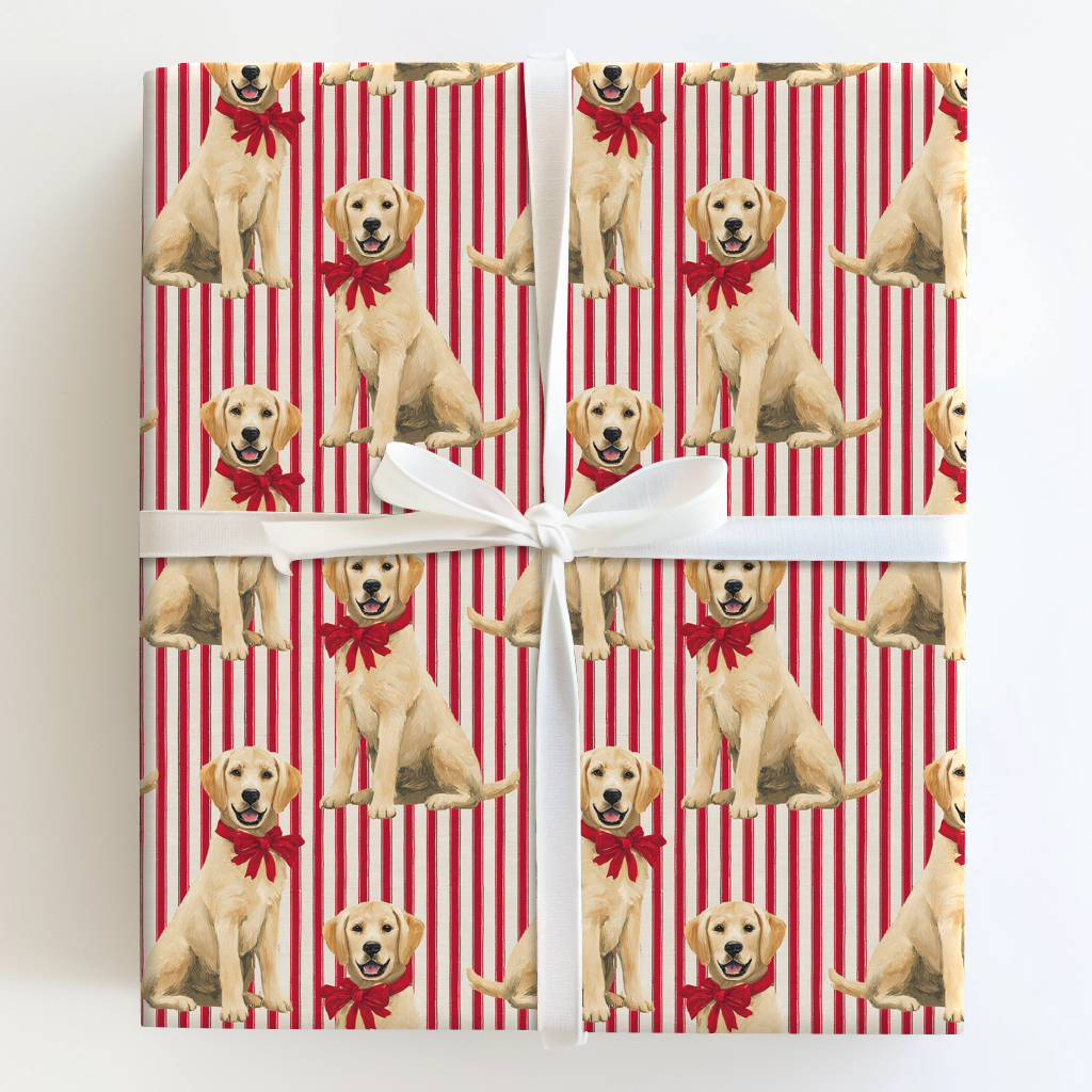 Labs & Holiday Stripes