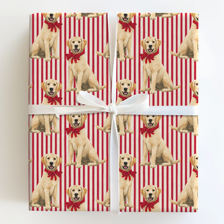 Labs & Holiday Stripes