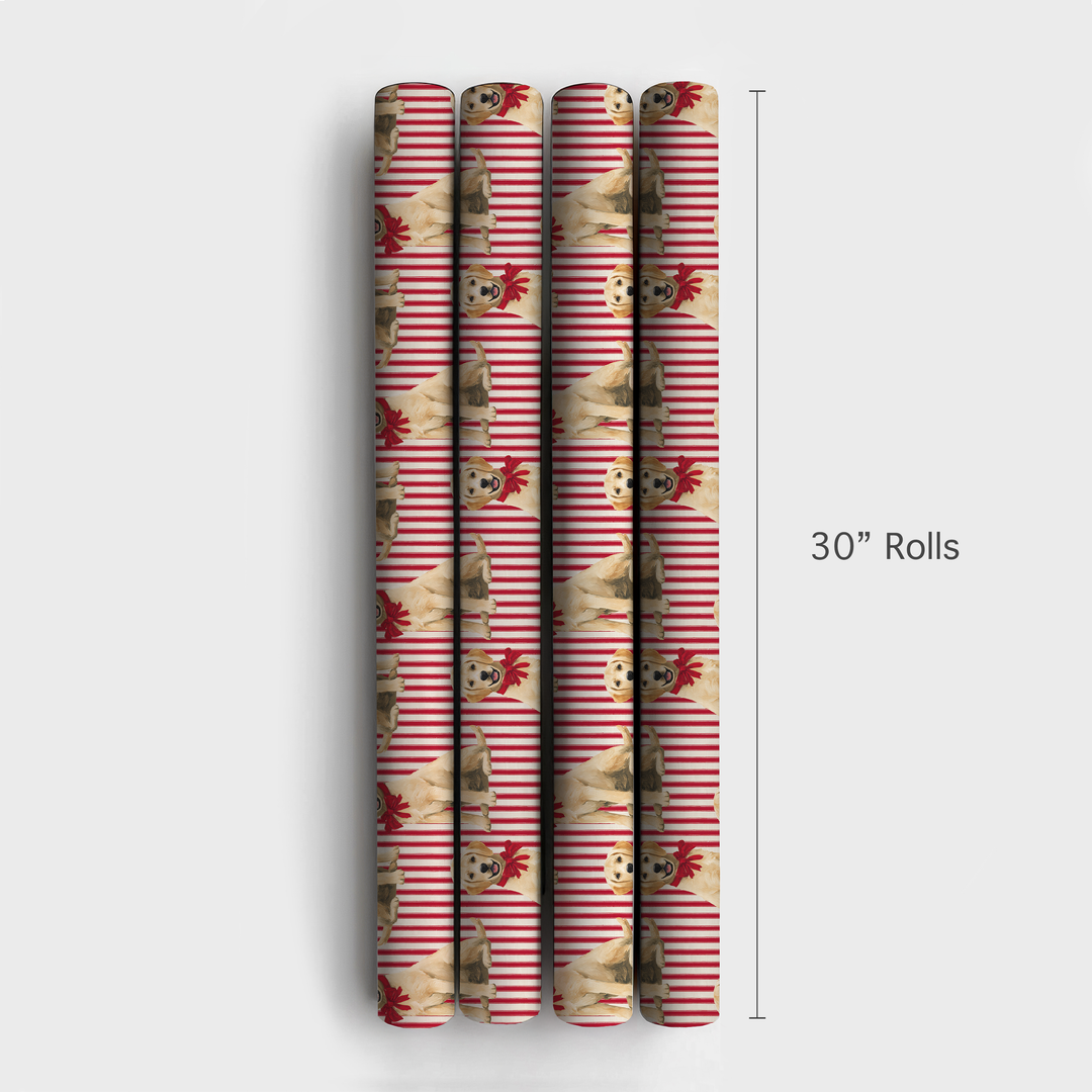 Labs & Holiday Stripes