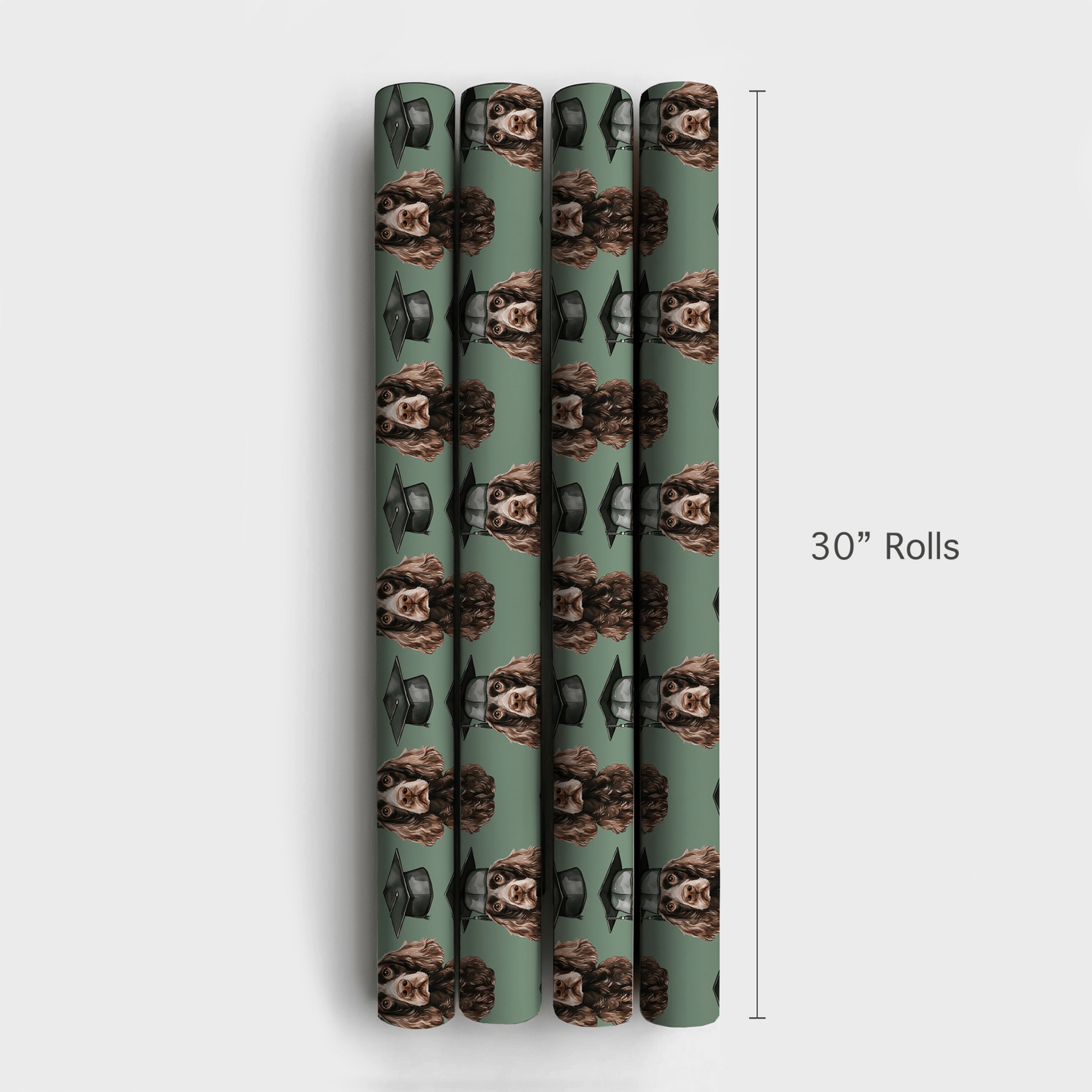 Boykin Spaniel Graduate - Wrapping Paper - Aspen & Arlo