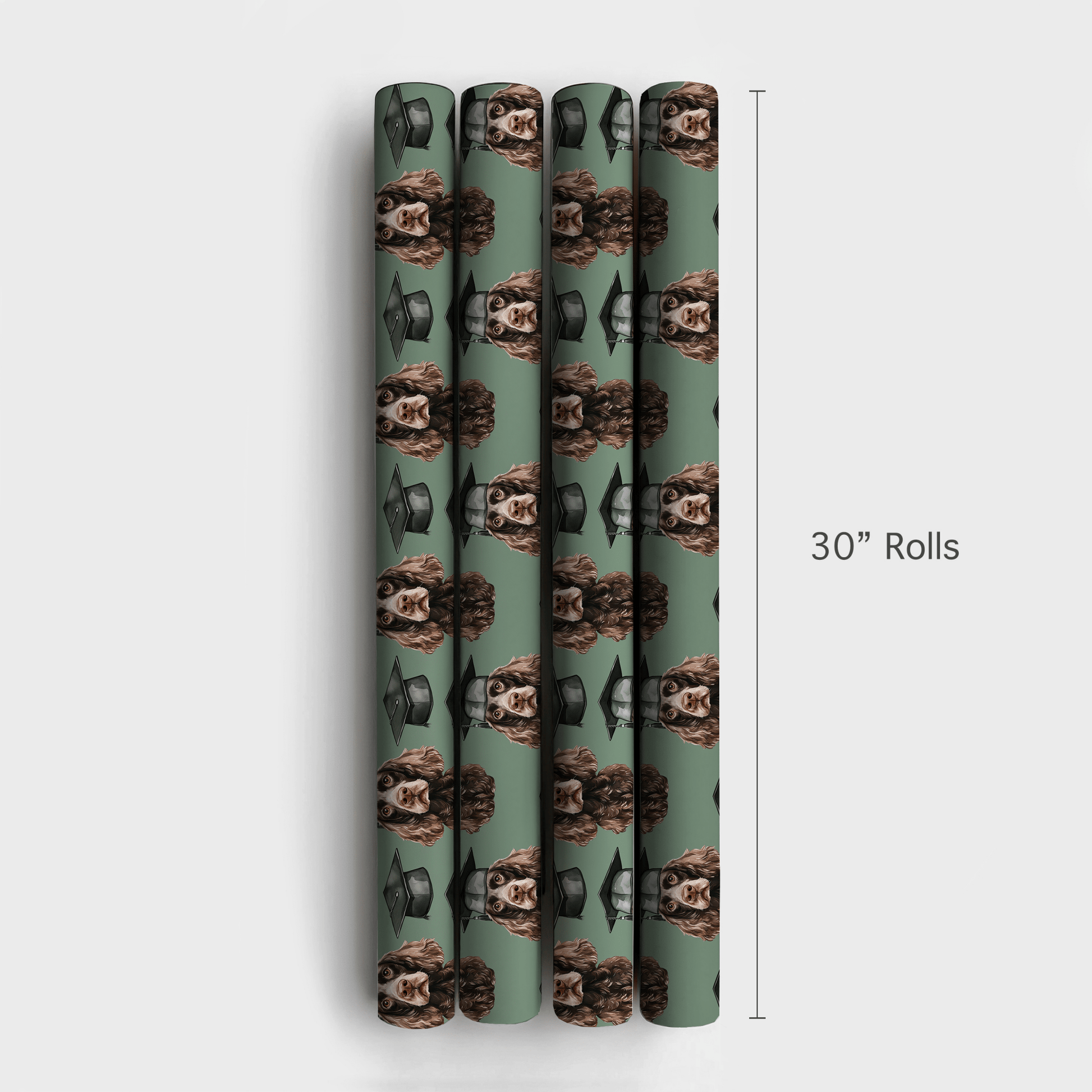 Boykin Spaniel Graduate - Wrapping Paper - Aspen & Arlo